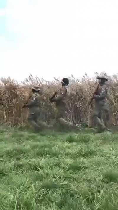 What a Timeline to be Alive