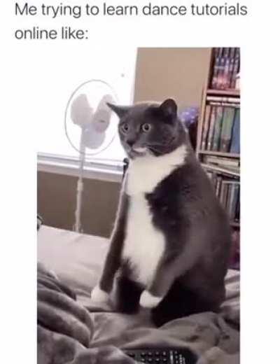 Sign language for wet foodie’