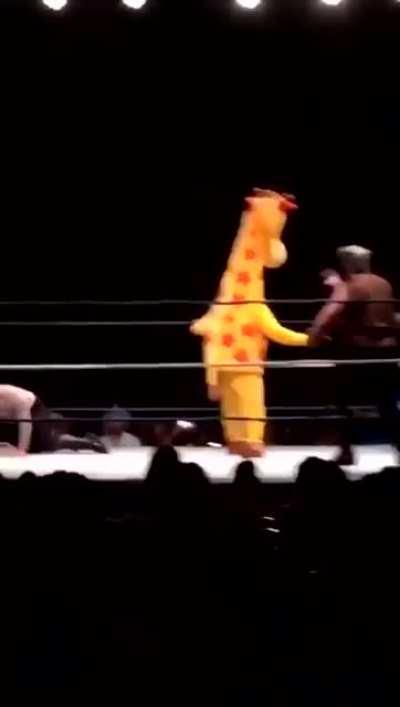 The wrestling isn't real either....
