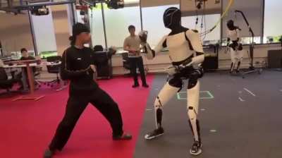 Tesla Optimus learning kung fu