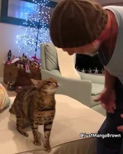 Noooooo, you can't pet cats, they are the spawn of satan