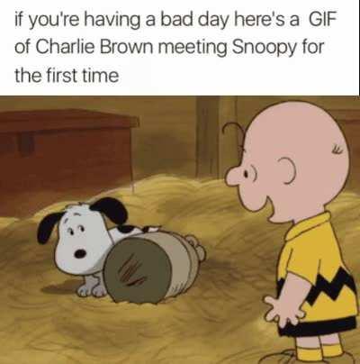 Hope you're having a good day! and if you aren't , I hope it gets better soon!