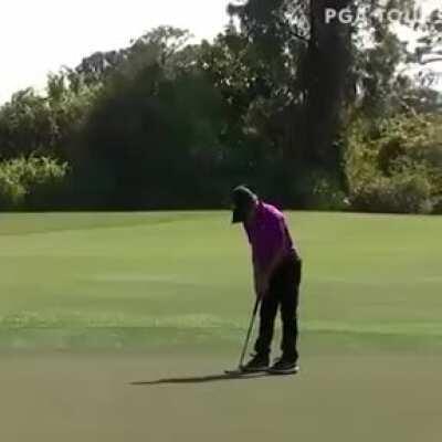 Charlie Woods: good at golf.