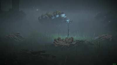 Any idea what they're doing here?