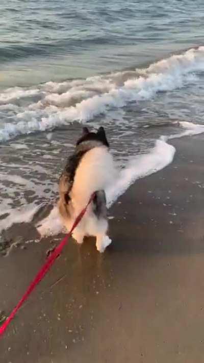 He got a little too excited 😆