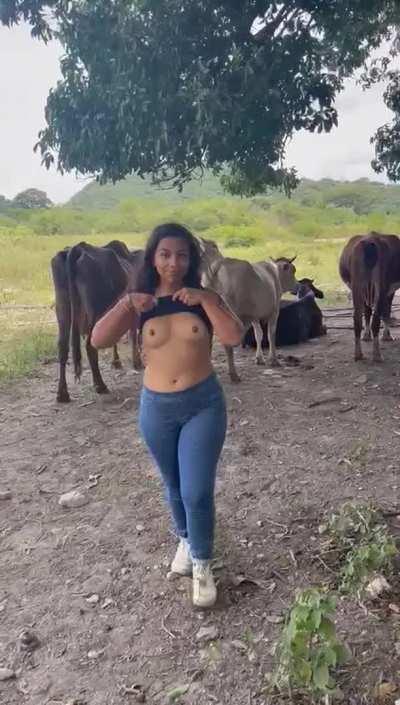 i love to make the farmer and the horses happy