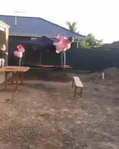 Trying to jump on a table