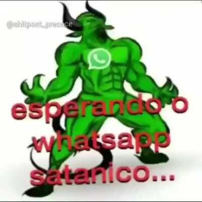 Já baixou o bolsozap, Sua bolsolinda?