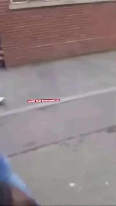 Woman pretends to be a dog in England