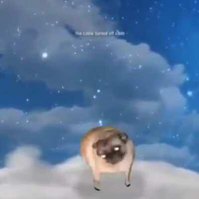 esto no es un meme solo es un perro que te quiere alegrar el dia (la cancion es life could be a dream)