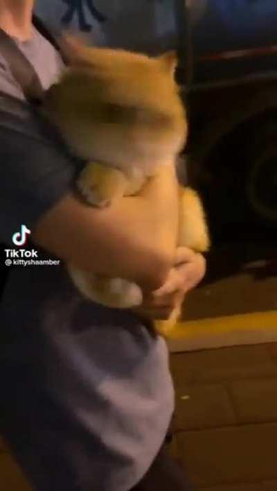 hug please im scared