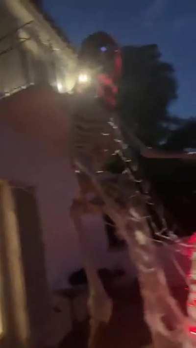 Halloween decorations