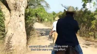 Meet the Farmers and Workers Running for Cuba&rsquo;s National Assembly