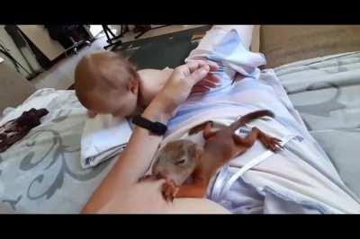 Вот теперь вы видели все...