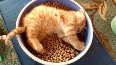 Now thats breakfast in bed