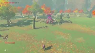 Warning: Animal abuse