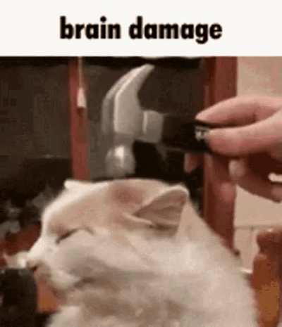 Give me your modded mc related reaction images (I don't have any)