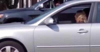 WCGW sticking my head out the car and giving protesters the finger while driving