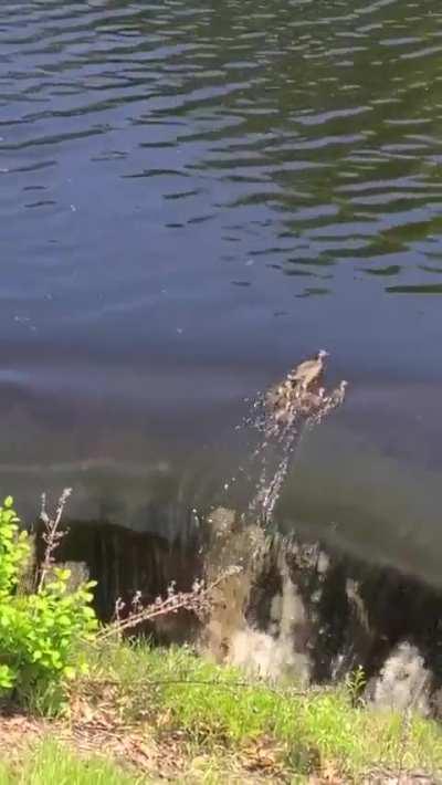 I admittedly wasn't breathing..... 😰