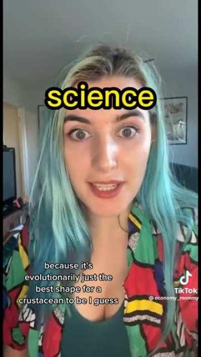 Evolution keeps making crabs and Silicon Valley keep trying to make trains.