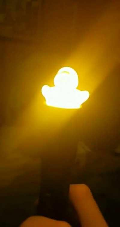 PRAISE THE DUCK
