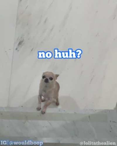 you have left me no choice