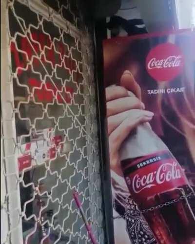 No obstacles to go home for this cat