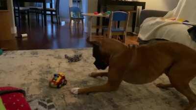 Pouncing Boxer, Hidden Driver