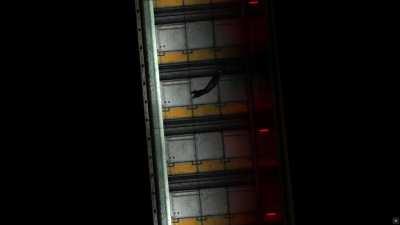 Honestly a Practical Sub