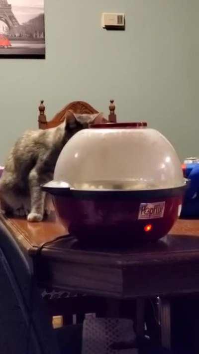 Catculating how long to cook the popcorn