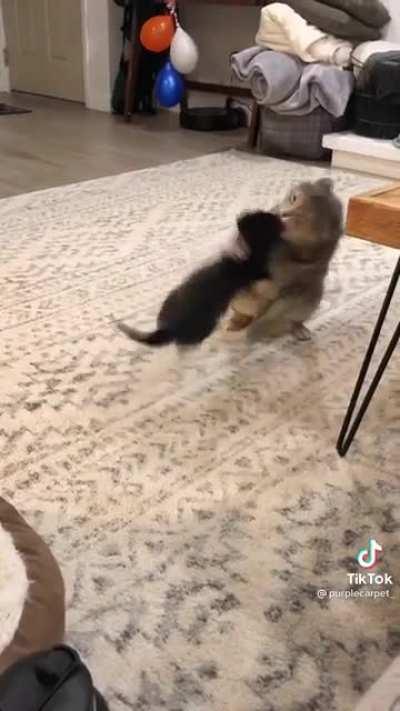 Let's get ready to rumble!