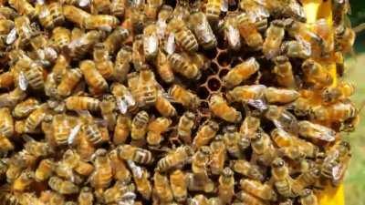 Caught one of my girls doing the wiggle dance!