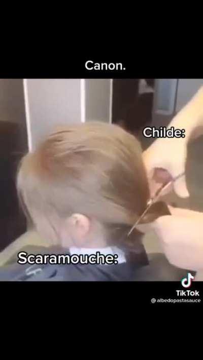 This looks EXACTLY like his haircut 💀