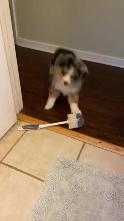 Day 3 Week 8. A full nights rest and she came alive today.