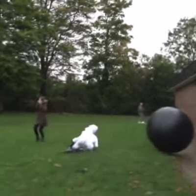 WCGW jumping on an exercise ball from the terrace!