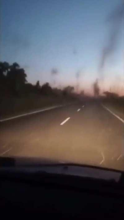 Mosquitoes invasion in Argentina right now