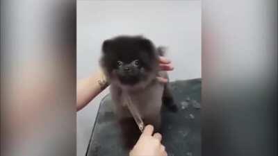 It ain't nuttin but MUUUUUSIC