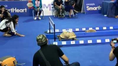 Our childhood was not a lie.