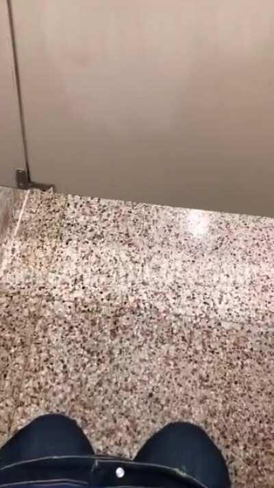 Transgender teen records Osseo Senior high school staff opening bathroom stall while he takes a sh*t for being in the 