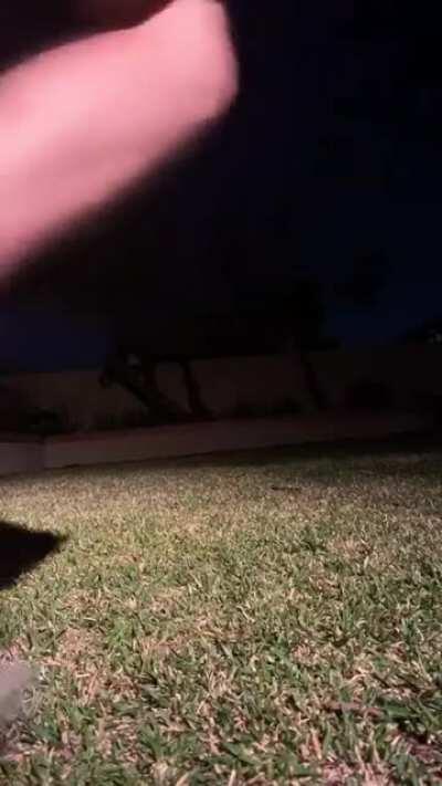 Título foi dar uma mijada