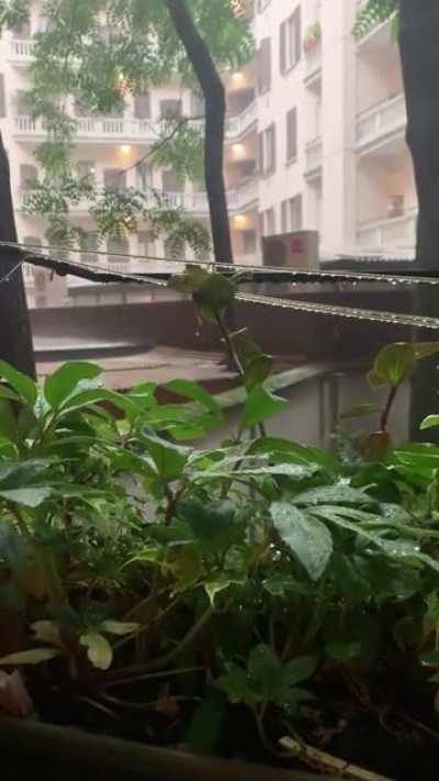 Rainy day in a courtyard 🌧