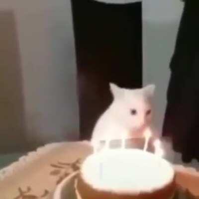 Eu nunca vi alguém ser tão humilhado 😢