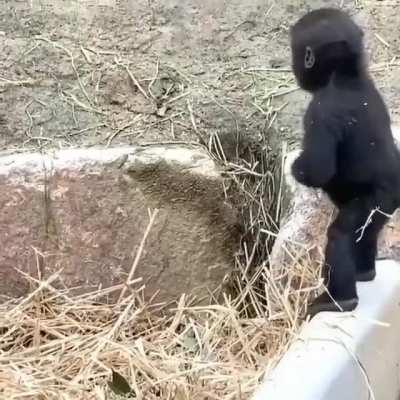 Safe jumping training