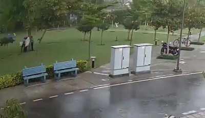 Standing under trees can sometimes be a critical blunder!