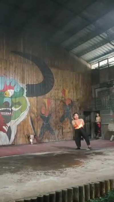 My balls my balls are on fire