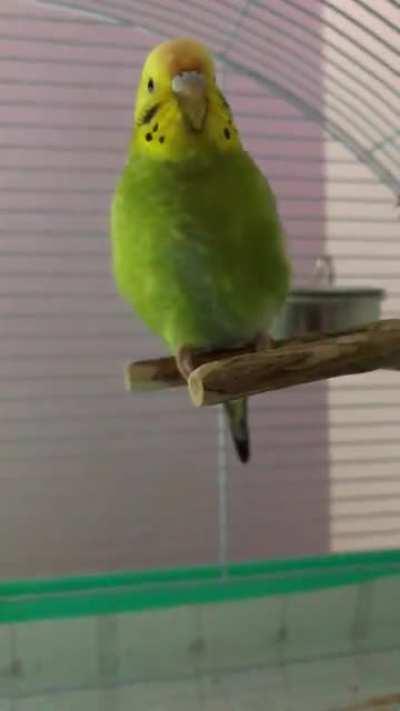 Wait for it.... 👀✨