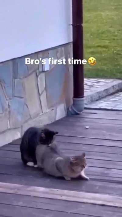 It still new with him