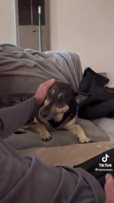 “I didn’t say you can stop petting me”