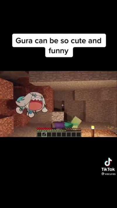 Credit goes to @vacuras on tictok