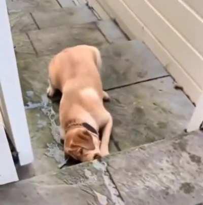 Running water tastes better...